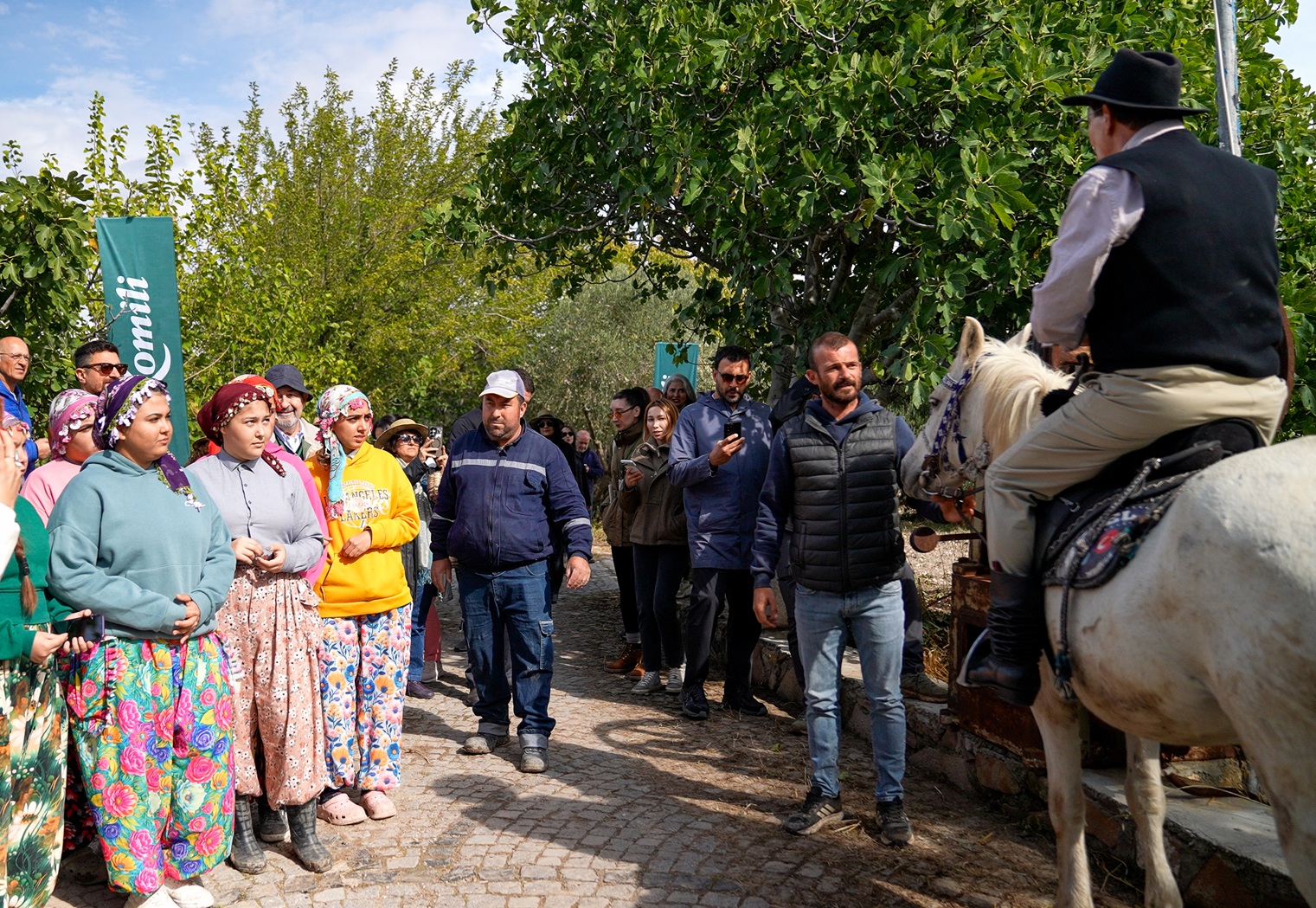 KOMİLİ’NİN 27. ZEYTİN HASADI AYVALIK’TA GERÇEKLEŞTİ BU YILIN KAHRAMANLARI KADIN ZEYTİN ÇİFTÇİLERİ OLDU