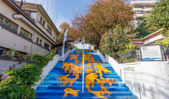 Johnson & Johnson Moda Merdivenlerini Renklendirdi