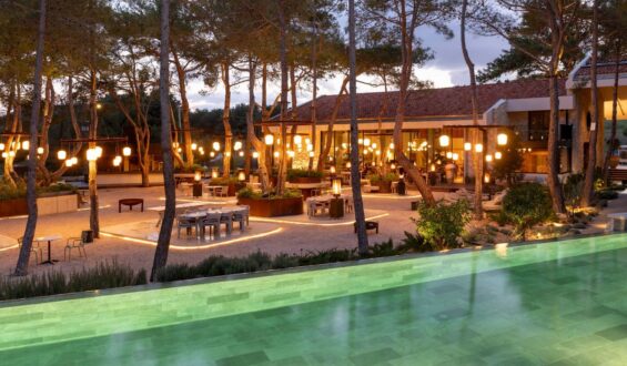 BAĞLARIN ARASINDAKİ KEYURLADA YILBAŞI SICAKLIĞINI YAŞAYIN